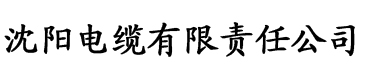 五月丁香婷婷六月综合电缆厂logo